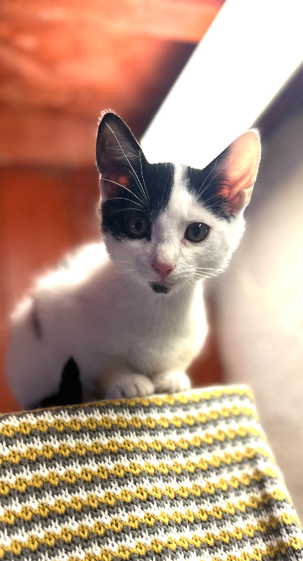 Geoffrey 